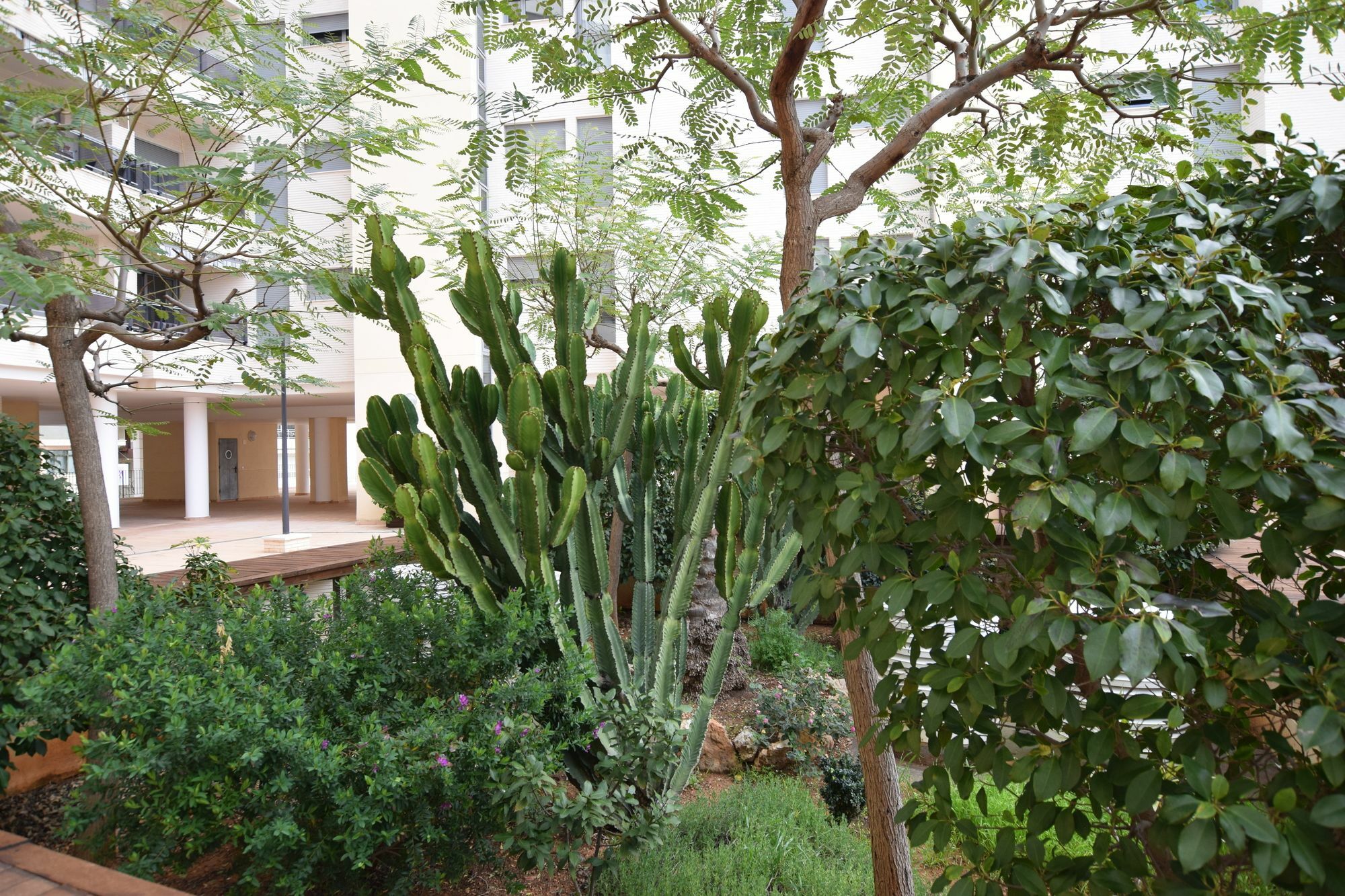Plaza Mayor 2 Bedroom Apartment Calpe Kültér fotó